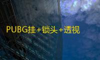 PUBG挂+锁头+透视+锁血(和平精英免费透视辅助器)